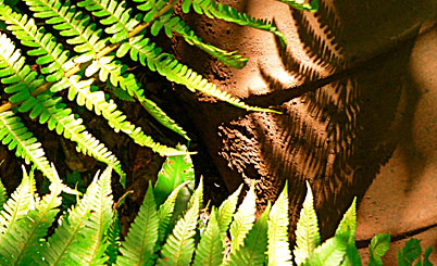 攻击网站服务器