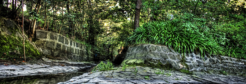 帮忙推荐服务器攻击软件